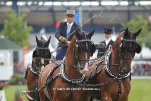 Sichtungswege im Fahrsport für 2017